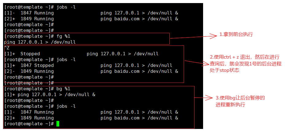 image-20250105221353466