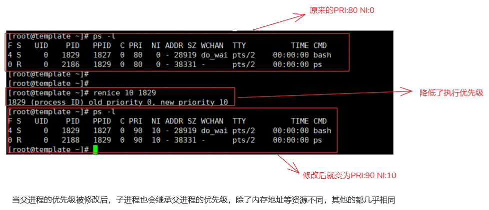 image-20250105234329836