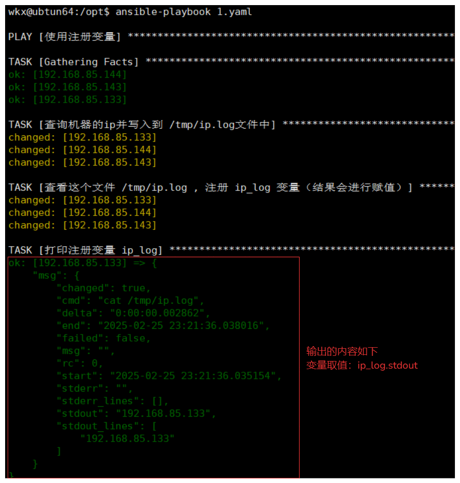 image-20250225232933038