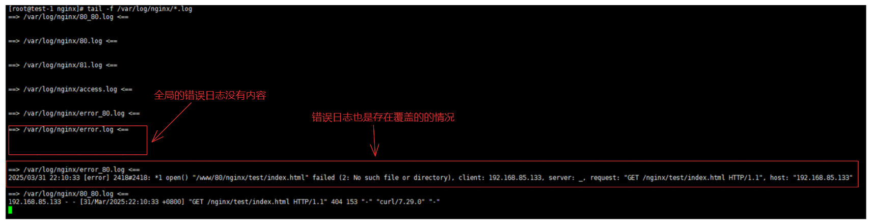 image-20250331221228309