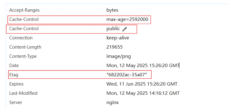 image-20250512232702683